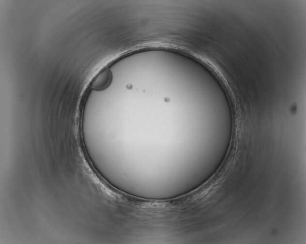 X0000116300902200912141332