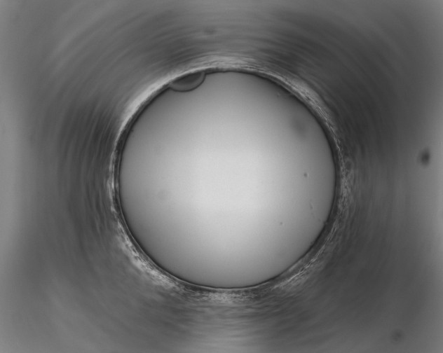 X0000116300904200912141332