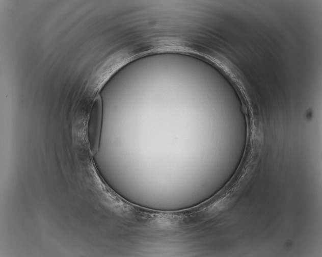 X0000116300905200912141332