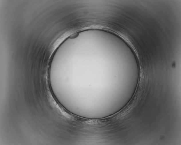 X0000116300906200912141332