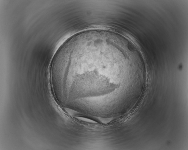 X0000116300907200912141332