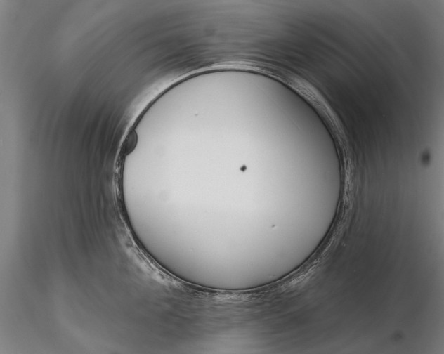 X0000116300908200912141332