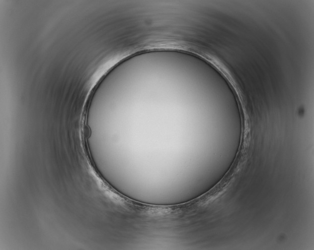 X0000116300909200912141332