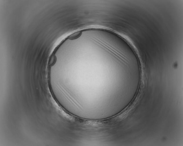 X0000116300910200912141332