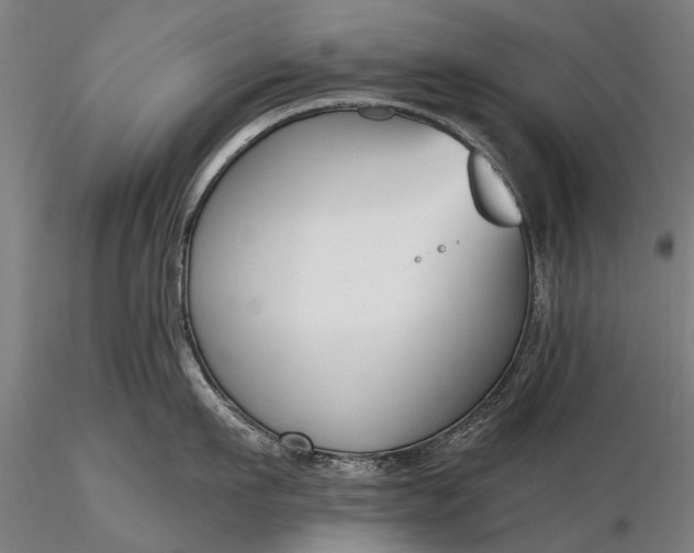 X0000116300911200912141332