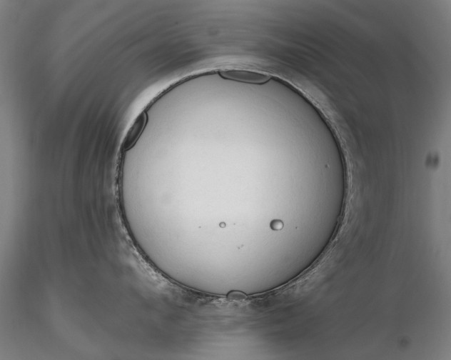 X0000116300912200912141332