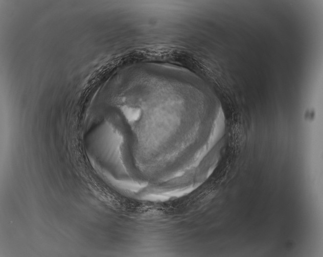 X0000116300913200912141331