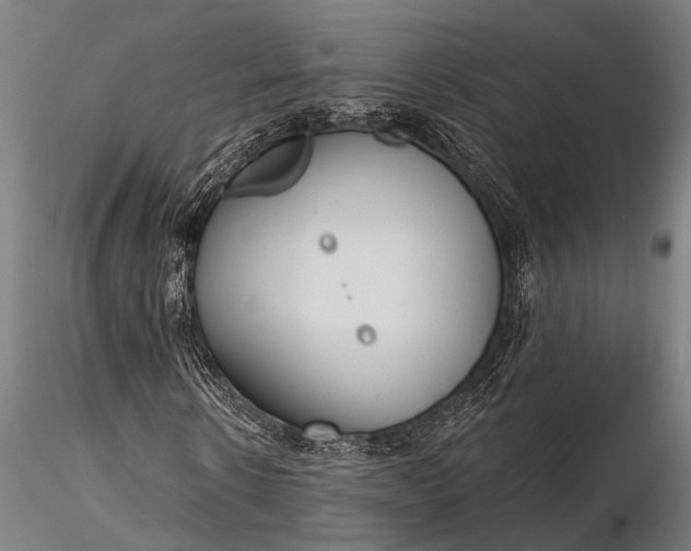 X0000116300914200912141331