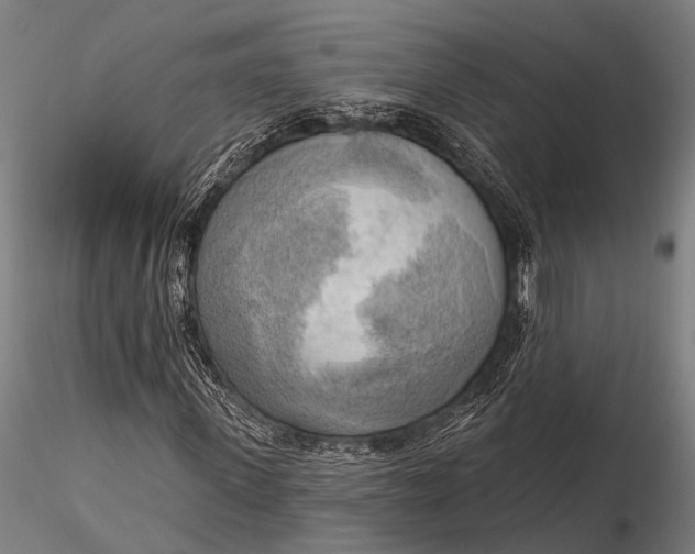 X0000116300915200912141331