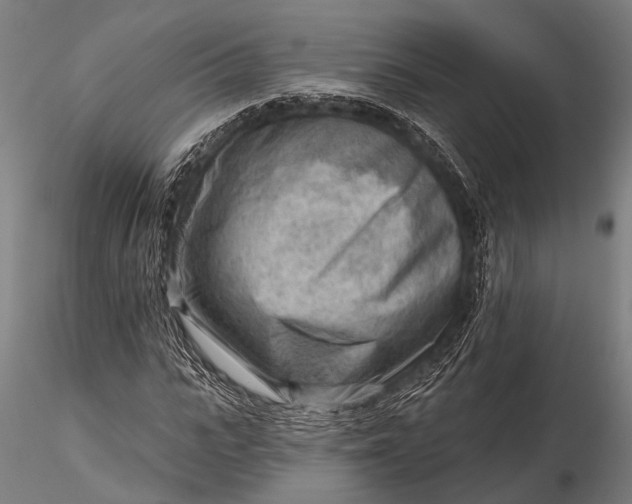 X0000116300919200912141331