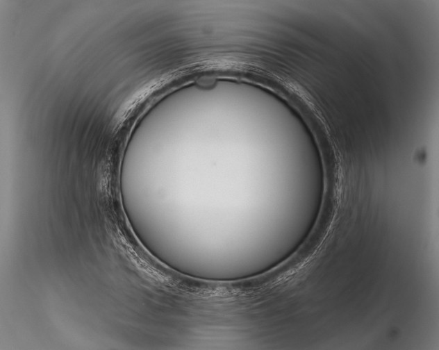 X0000116300922200912141331