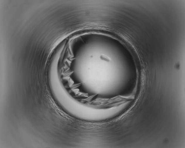 X0000116300925200912141331