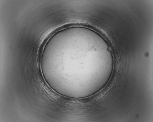 X0000116300927200912141332