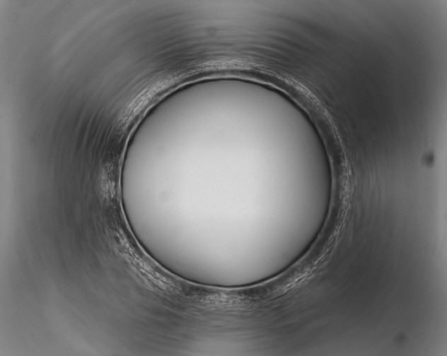 X0000116300929200912141332