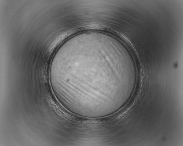 X0000116300930200912141332