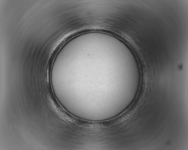 X0000116300934200912141332