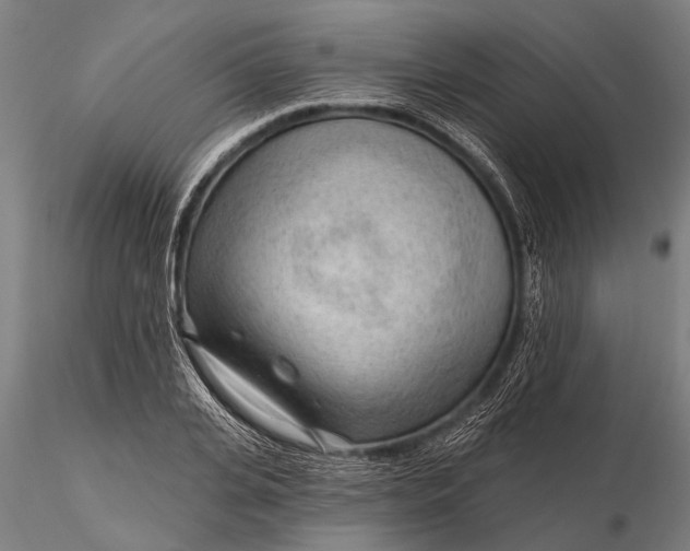 X0000116300935200912141332