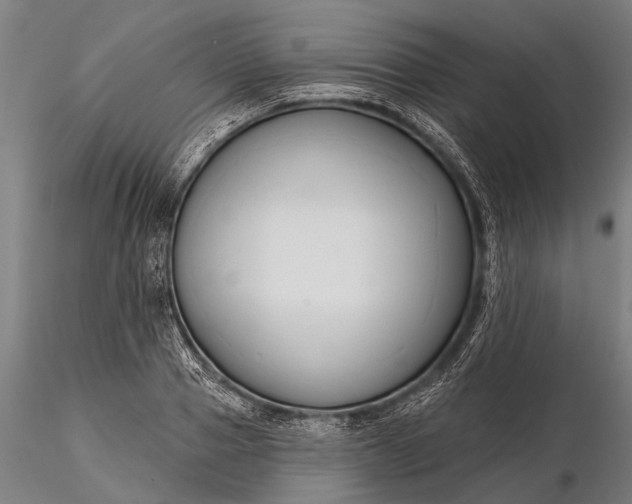 X0000116300937200912141332