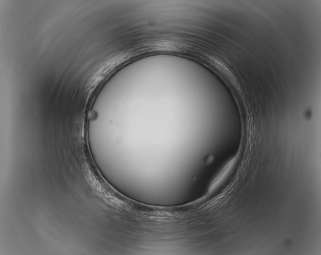 X0000116300938200912141332