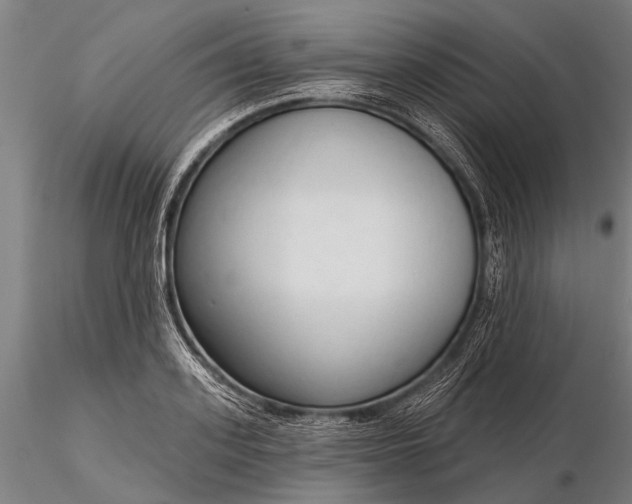 X0000116300939200912141332