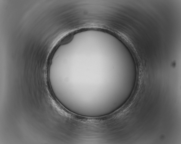 X0000116300942200912141332