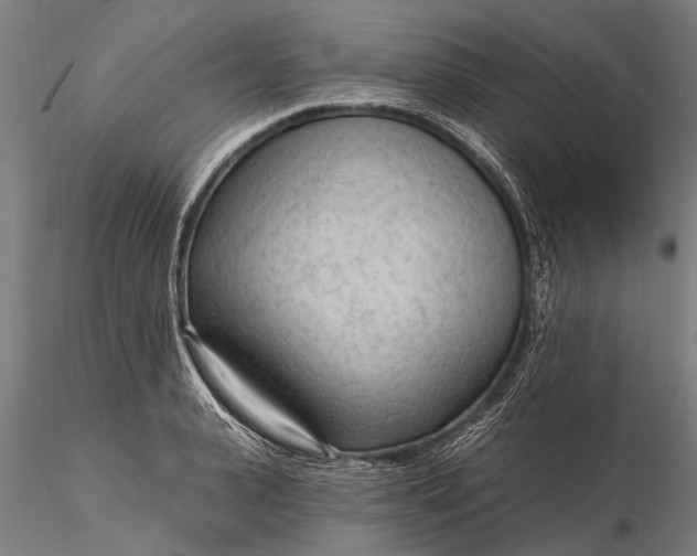 X0000116300943200912141332