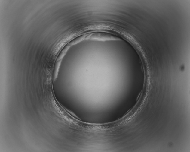 X0000116300945200912141332