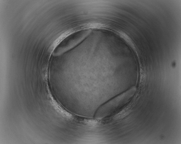 X0000116300946200912141332