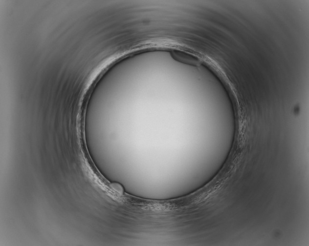 X0000116300947200912141332