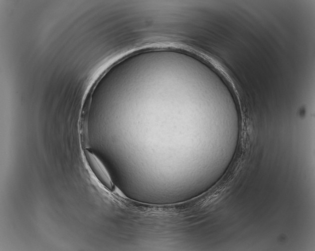 X0000116300951200912141332