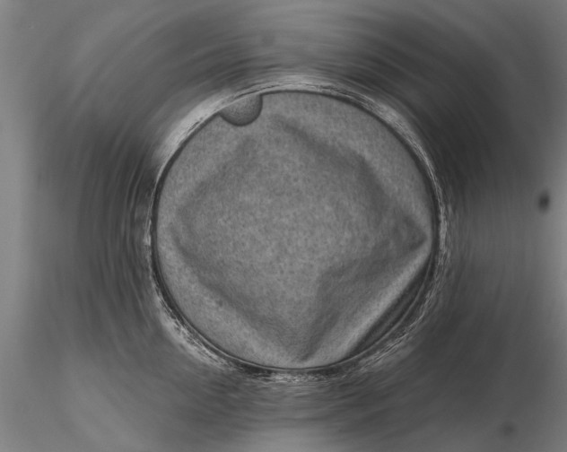 X0000116300954200912141332