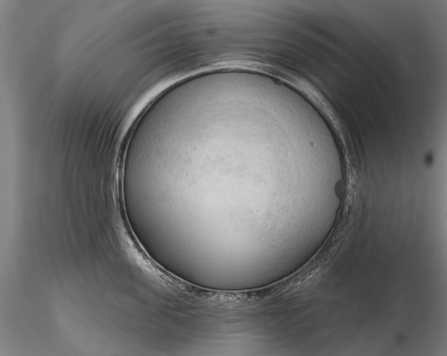 X0000116300955200912141332