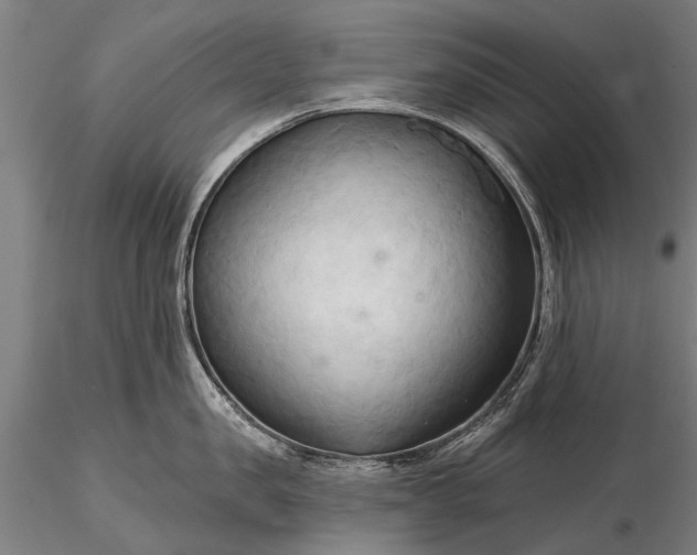 X0000116300957200912141332