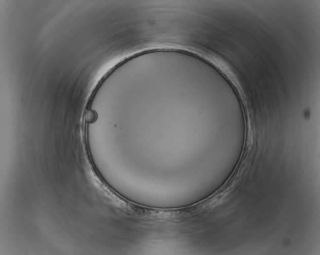 X0000116300958200912141332