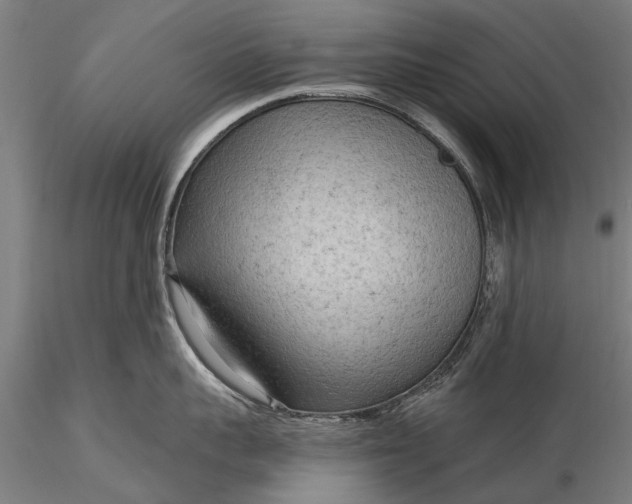 X0000116300959200912141332