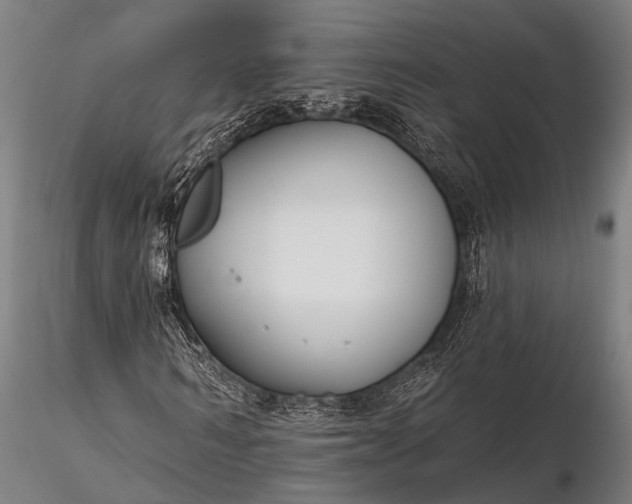 X0000116300962200912141331