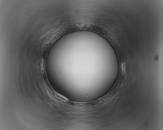 X0000116300963200912141331