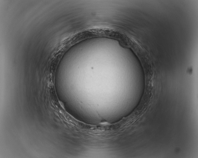 X0000116300965200912141331