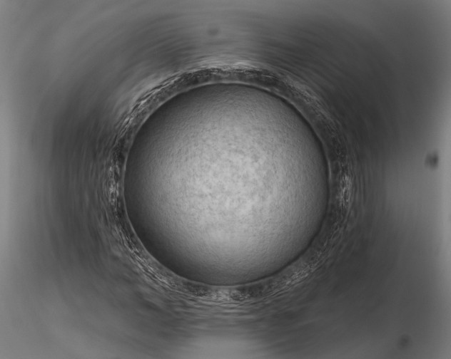 X0000116300966200912141331