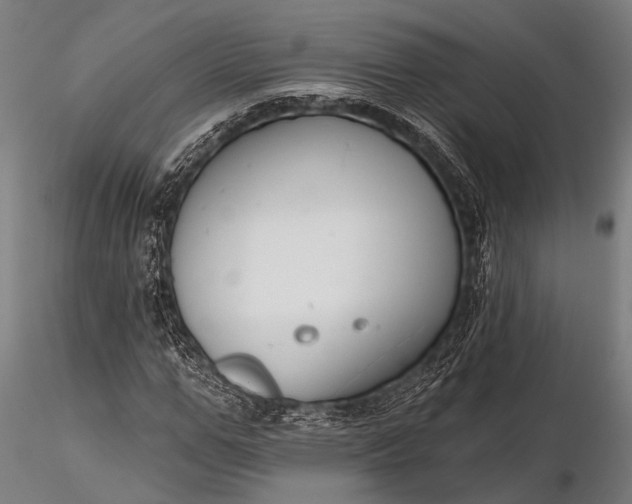 X0000116300967200912141331