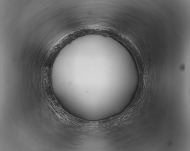 X0000116300968200912141331