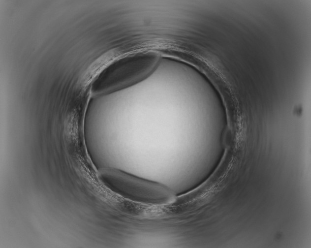 X0000116300969200912141331