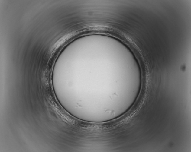 X0000116300970200912141331