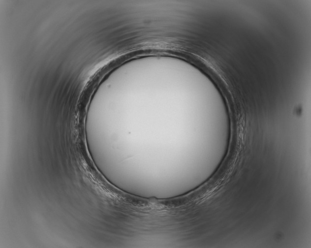 X0000116300971200912141331