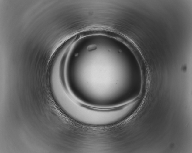 X0000116300973200912141331