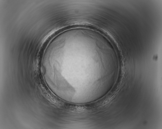 X0000116300975200912141331