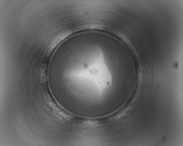 X0000116300977200912141331