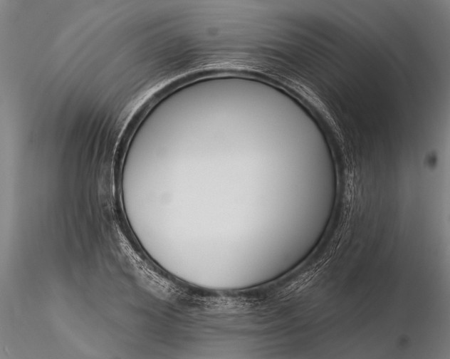 X0000116300980200912141331