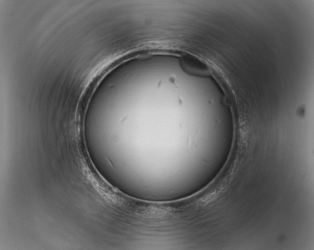 X0000116300981200912141331