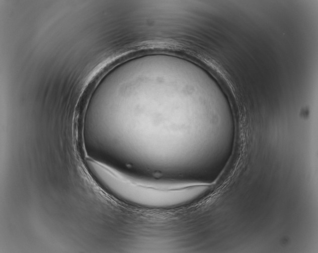 X0000116300983200912141331